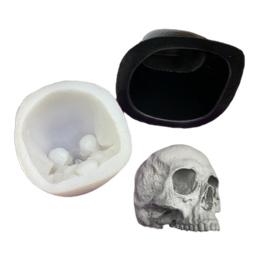 Flat Back Skull No Mandible