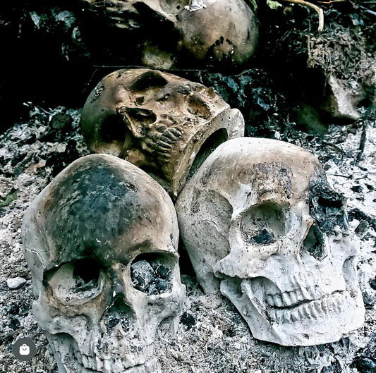 Full Scale Skull Mold Silicone