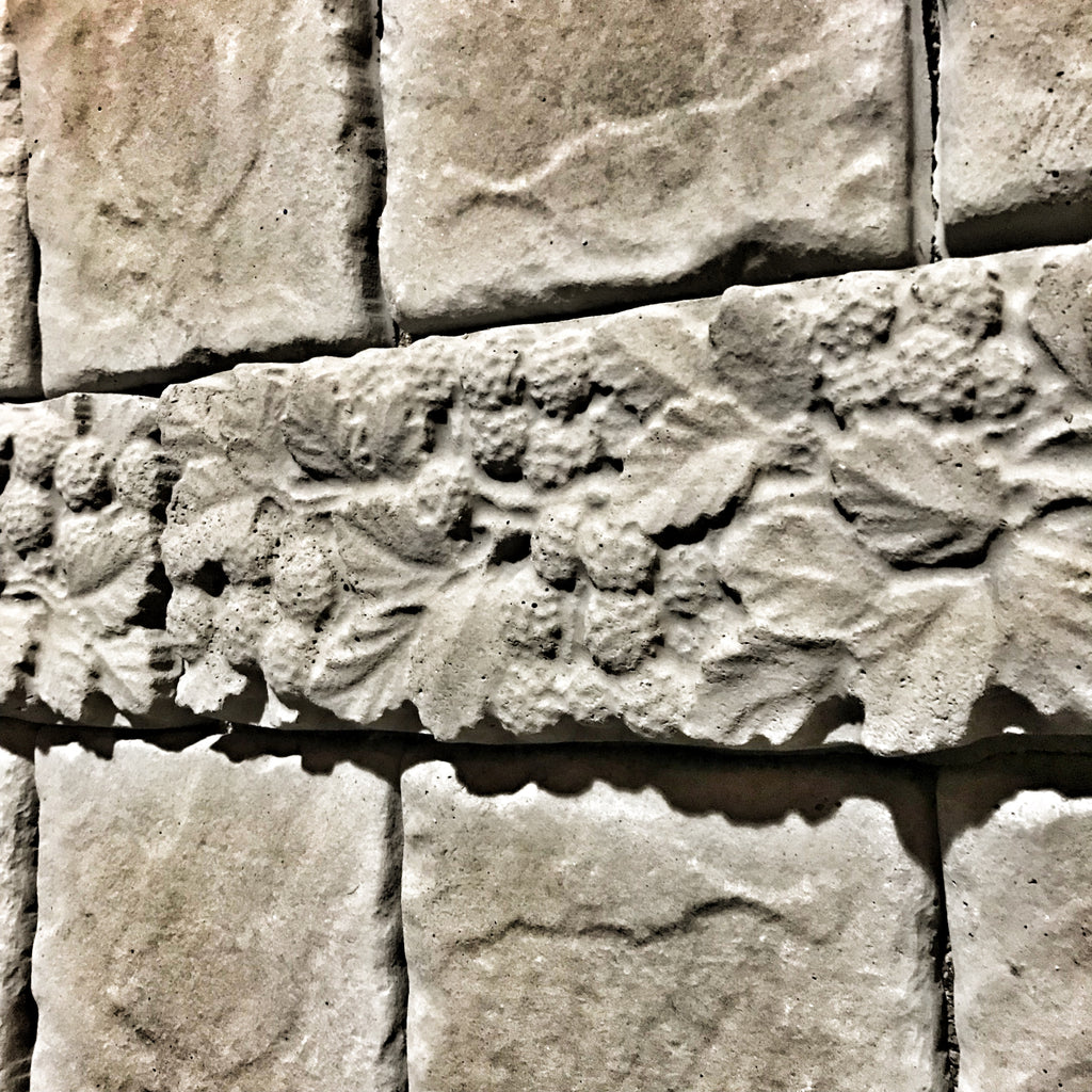12-inch raspberry deco ABS mold by Pacific Mold Design showing raspberry branch botanical pattern decorative strip mold for casting concrete backsplash and decorative tile borders