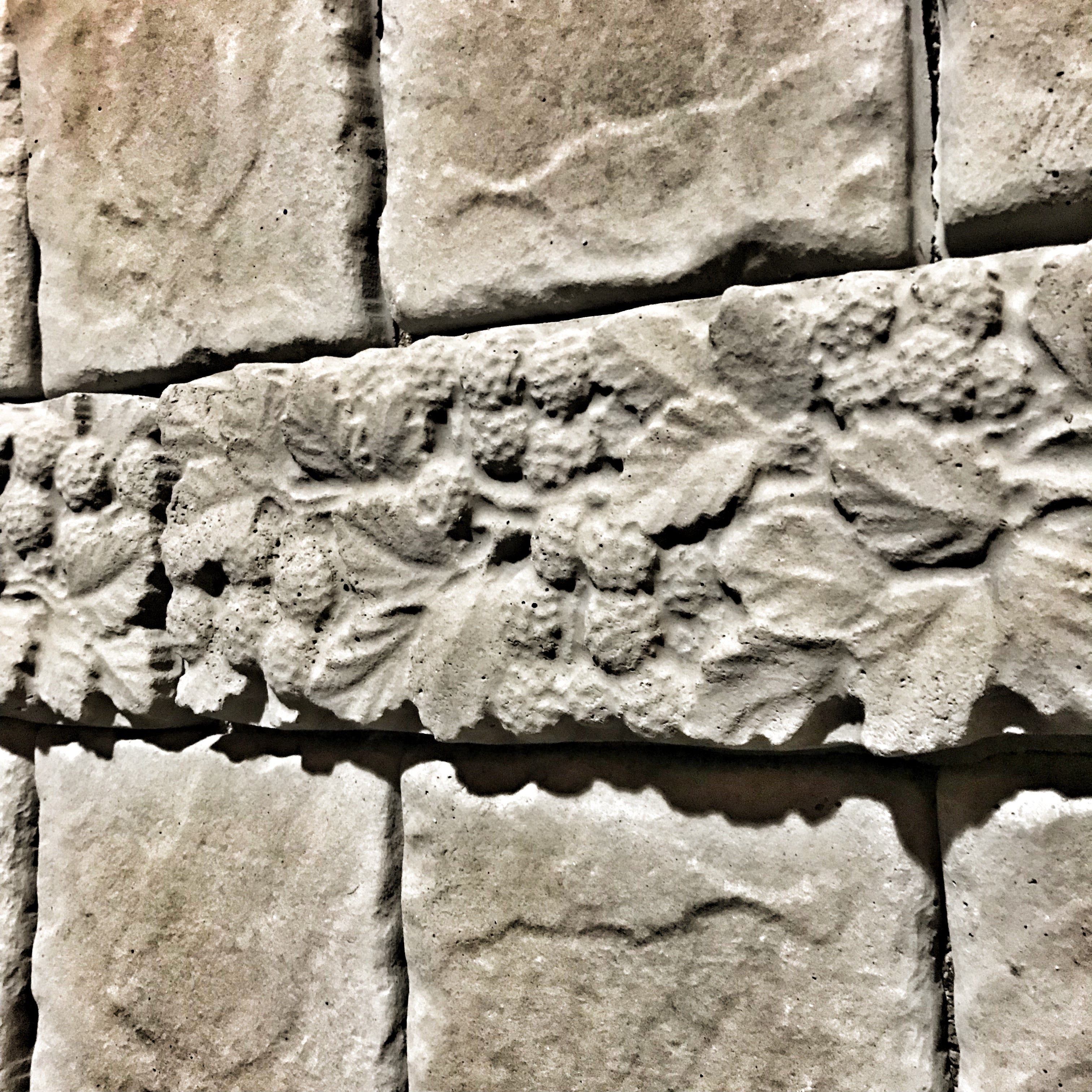 12-inch raspberry deco ABS mold by Pacific Mold Design showing raspberry branch botanical pattern decorative strip mold for casting concrete backsplash and decorative tile borders