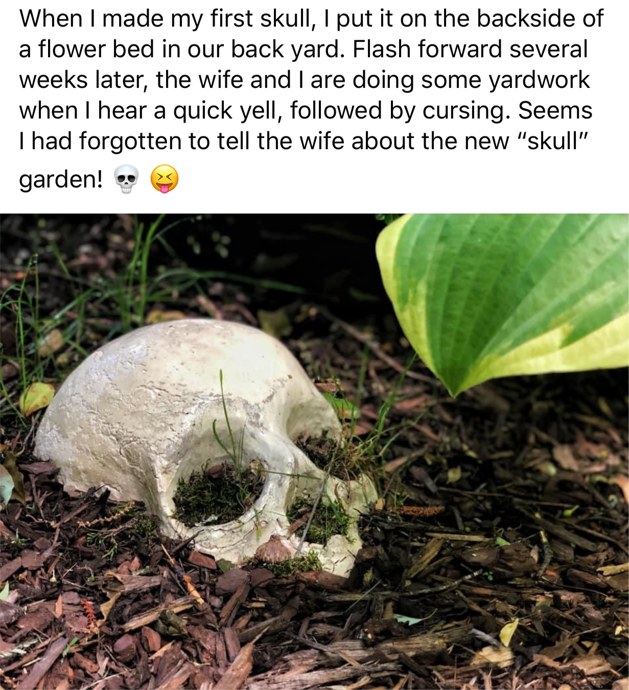 Skull in ground