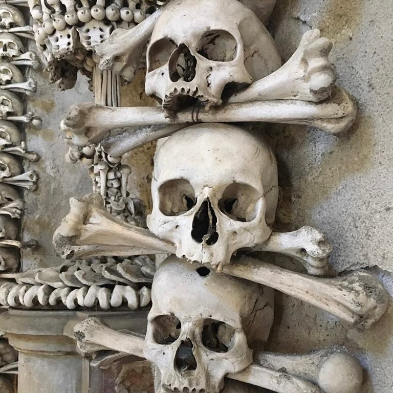 Ossuary ABS 4-piece mold set by Pacific Mold Design showing skull and crossbones panel designs and rack of bones panel designs for casting bone church style concrete wall installations