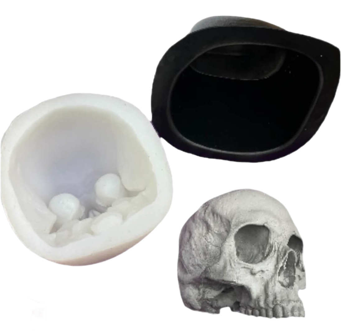 Flat back jawless skull silicone mold by Pacific Mold Design showing mold of human skull without mandible with flat rear surface for wall mounting measuring 6 inches from cranium to teeth