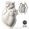 Heart pendant mold 3D print file product image by Pacific Mold Design showing digital render of heart pendant shape STL mold design for home 3D printing and DIY silicone jewelry mold making