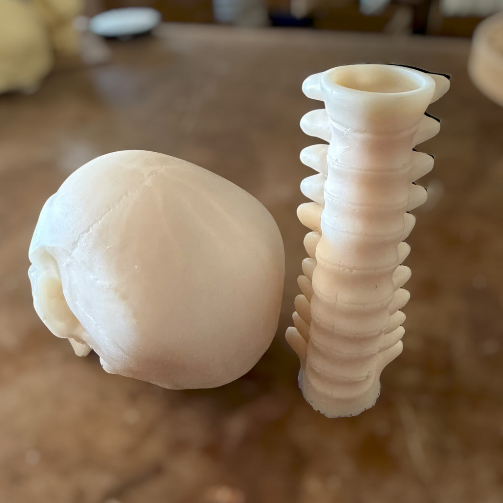 Skull & Spine Desktop Decor Mold Set