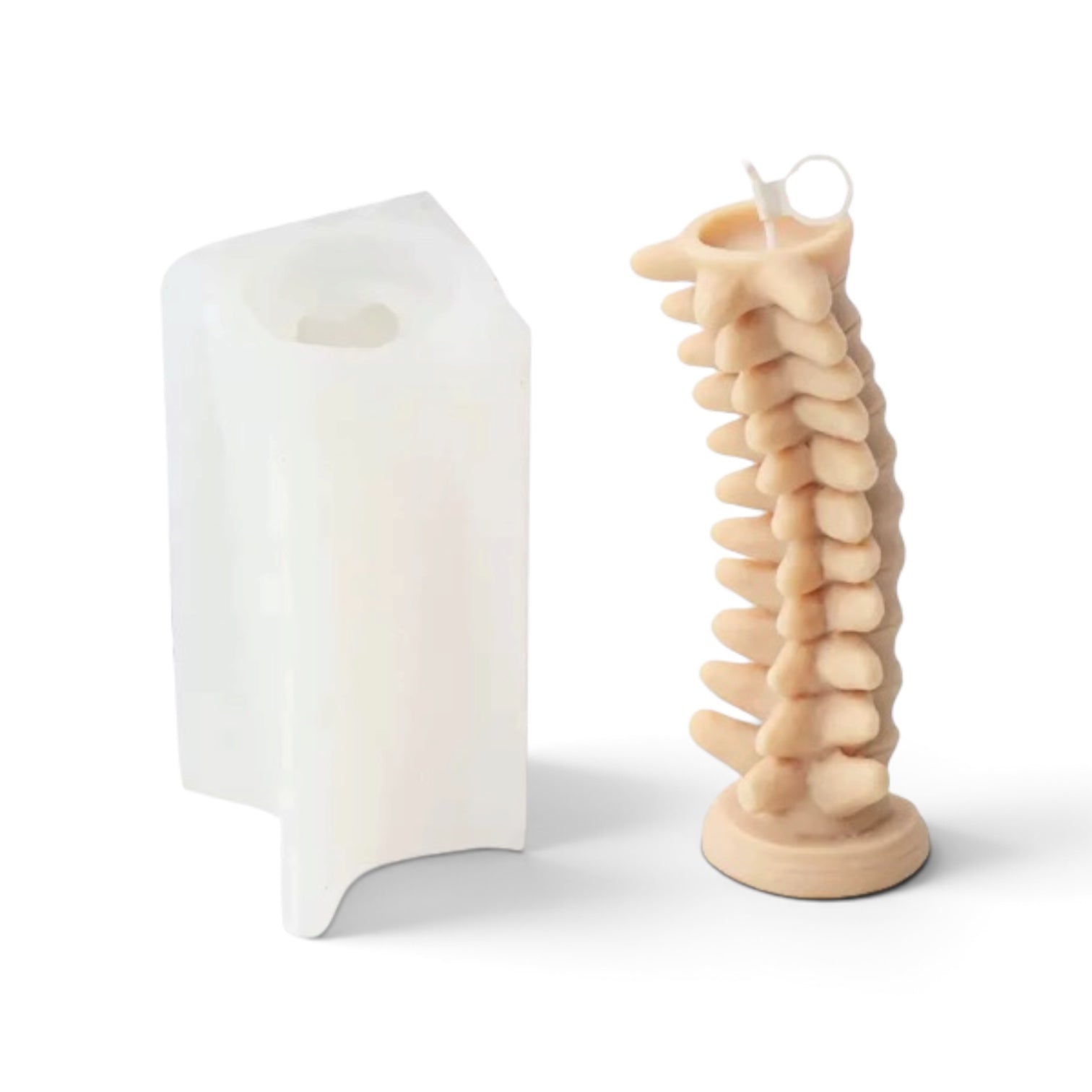 Skull & Spine Desktop Decor Mold Set