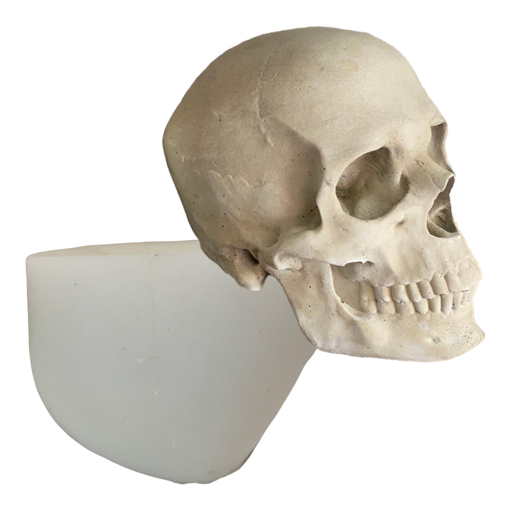 Full-scale human skull silicone mold by Pacific Mold Design shown in beige flexible silicone capturing complete skull anatomy including mandible at life-size 6.5 inches tall