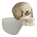 Full-scale human skull silicone mold by Pacific Mold Design shown in beige flexible silicone capturing complete skull anatomy including mandible at life-size 6.5 inches tall