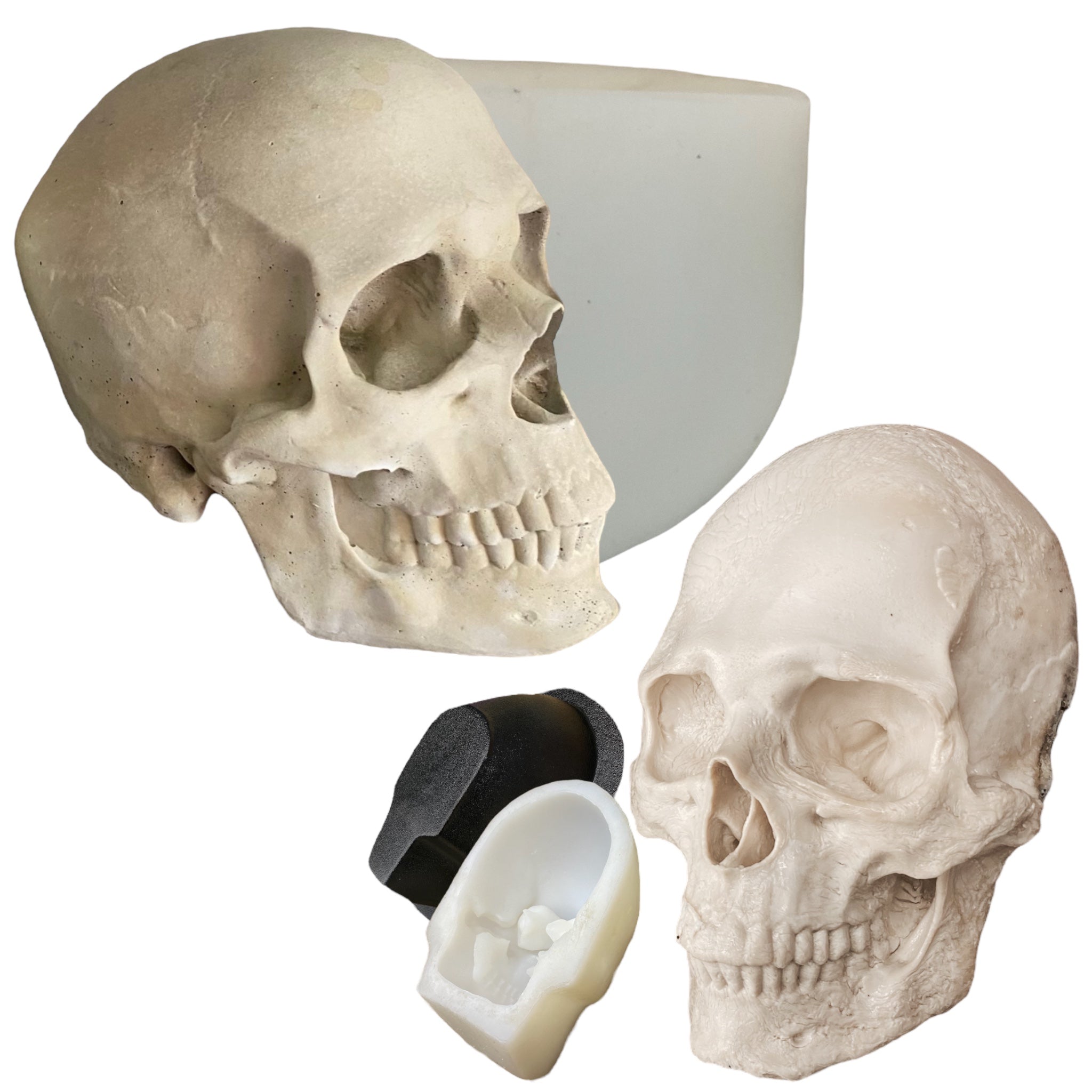 Full scale skull mold bundle by Pacific Mold Design showing two silicone molds side by side: a full 360-degree skull mold and a flat-back wall-mount skull mold with finished plaster casts