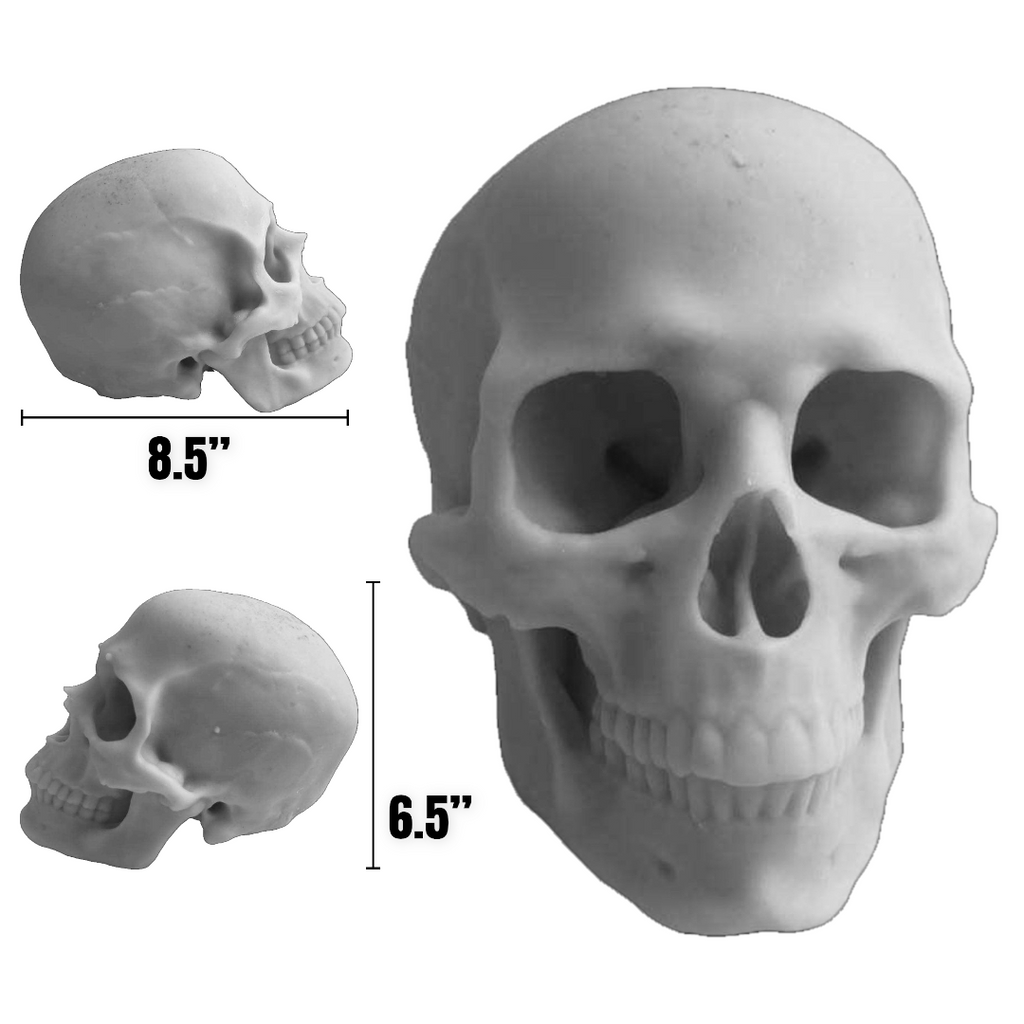 Full-scale human skull silicone mold by Pacific Mold Design shown in beige flexible silicone capturing complete skull anatomy including mandible at life-size 6.5 inches tall