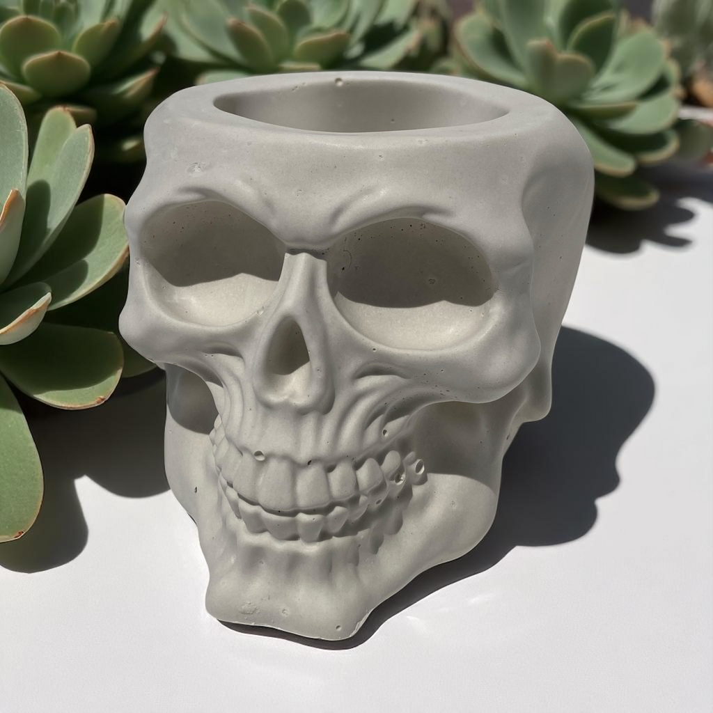 Skull-shaped planter with succulents in the background