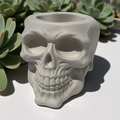 Skull-shaped planter with succulents in the background