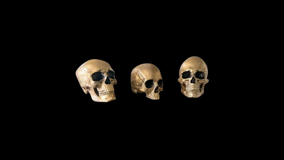 Save 30% on Overstock Skulls