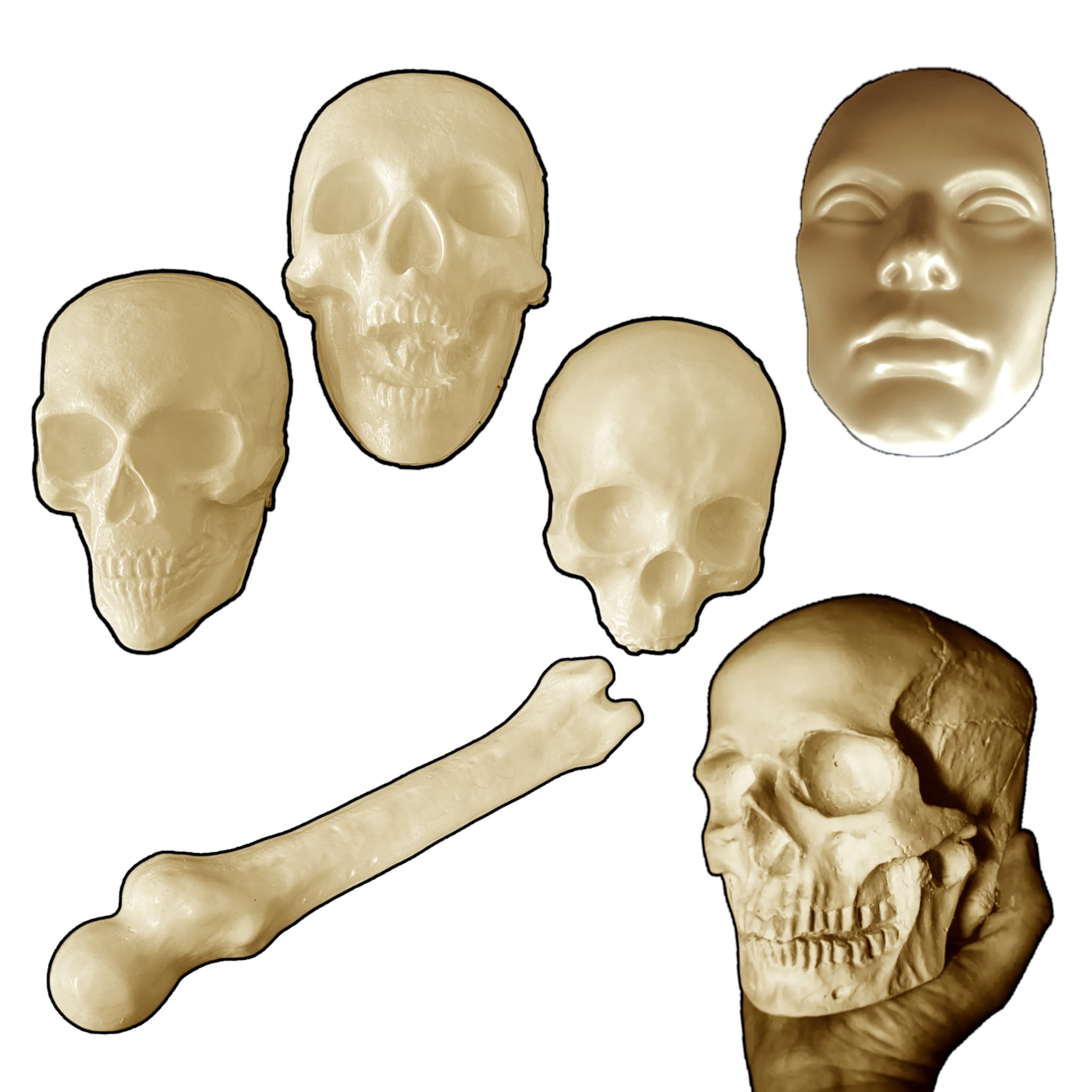 Ultimate haunt mold bundle by Pacific Mold Design showing collection of ABS skull molds, femur bone molds, and face molds with NEW Haunt Bundle label displayed on white background