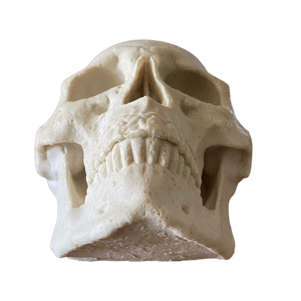 Flat back silicone skull mold by Pacific Mold Design showing two-piece mold with black ABS outer support shell and white silicone inner liner for wall-mountable skull casting