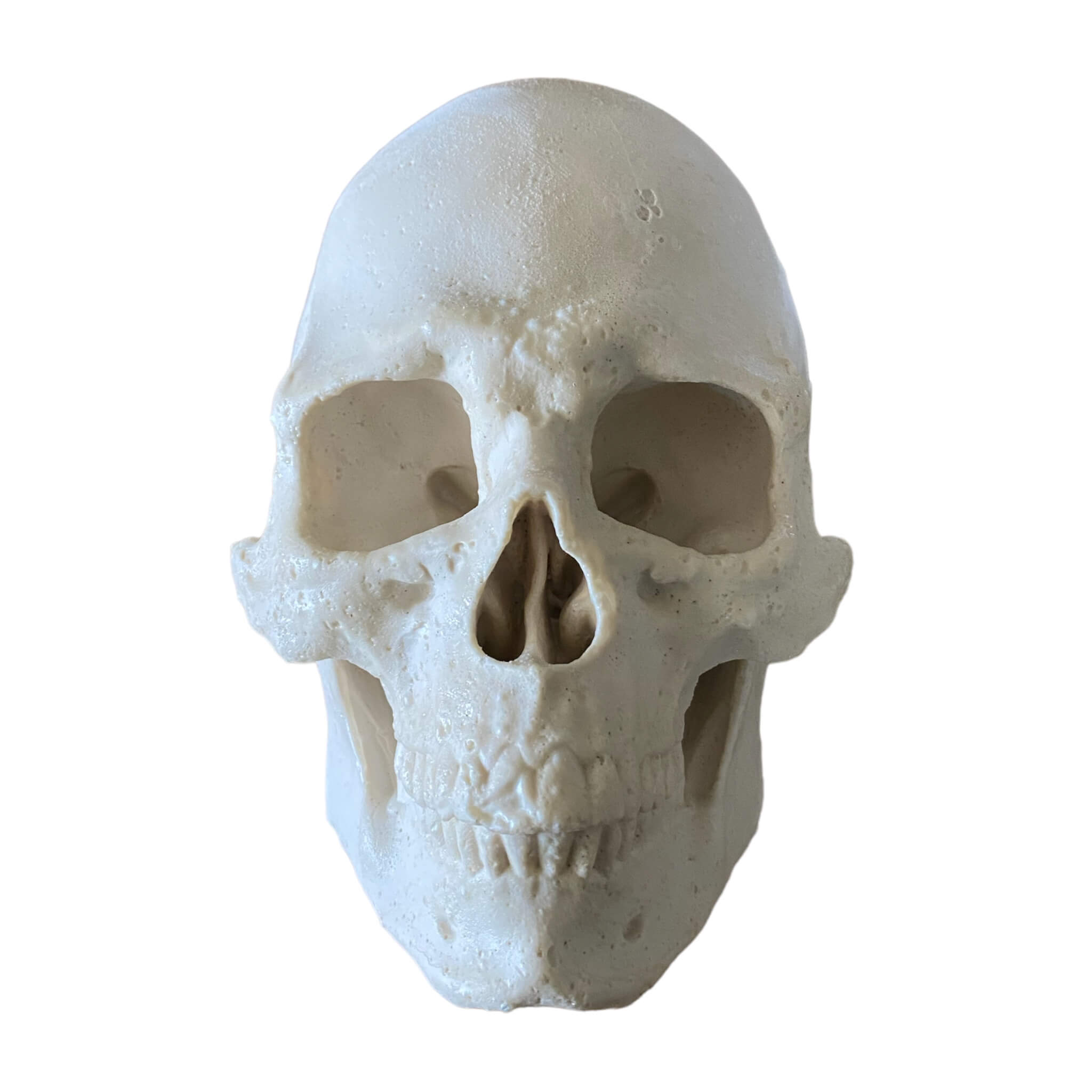Flat back silicone skull mold by Pacific Mold Design showing two-piece mold with black ABS outer support shell and white silicone inner liner for wall-mountable skull casting