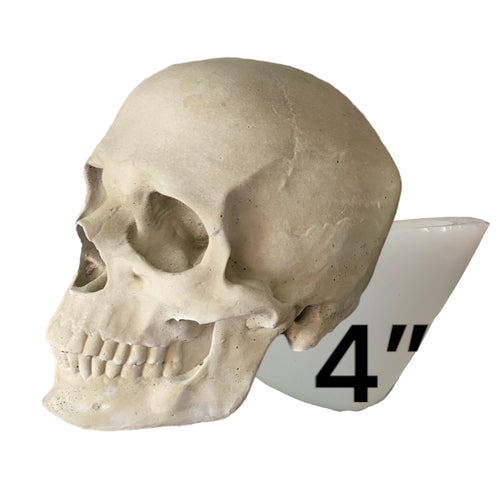 4-inch silicone skull mold by Pacific Mold Design showing flexible mold with deep cranium detail, 4 inches tall by 5 inches long, suitable for resin and candle casting