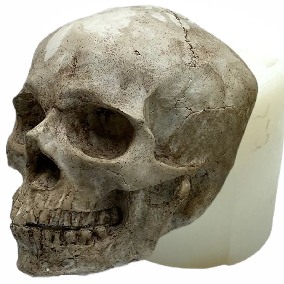 Skull Mold
