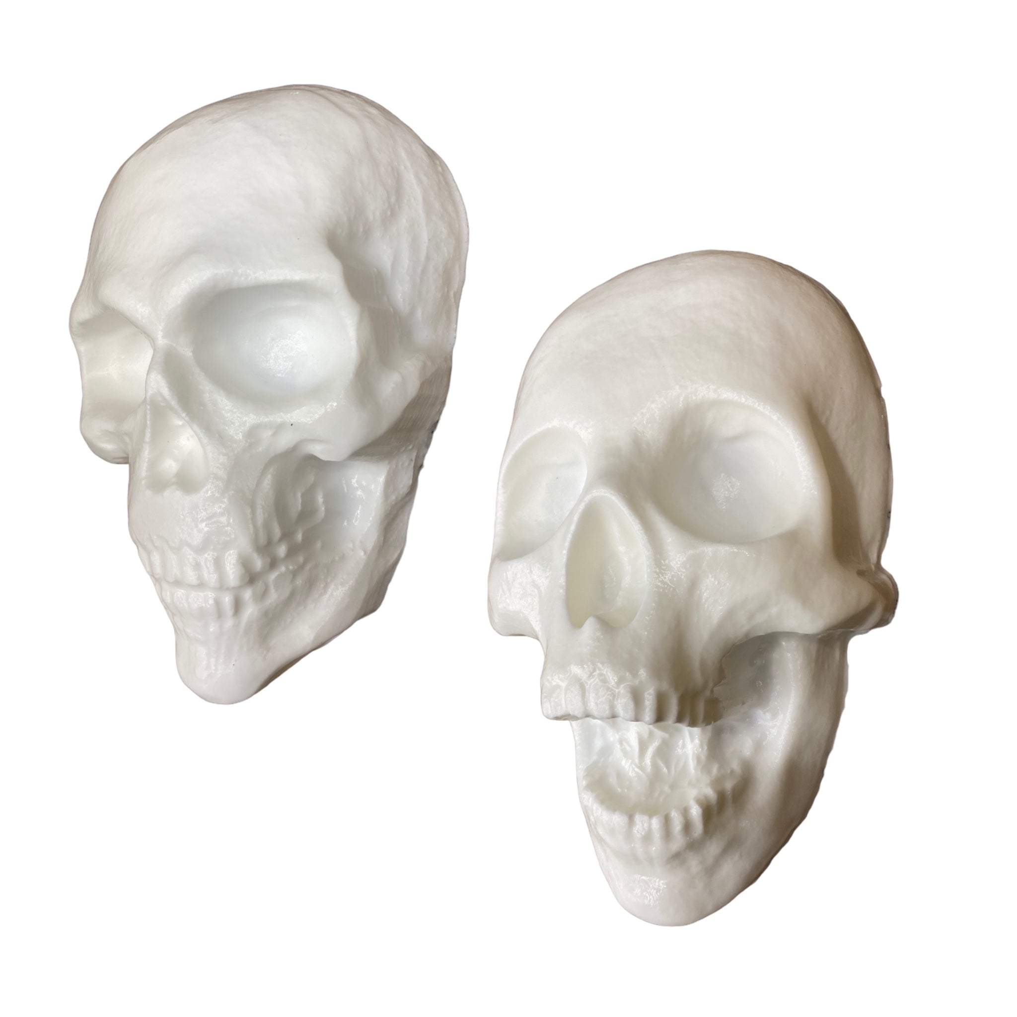 ABS skull and femur mold bundle by Pacific Mold Design showing four molds including 8-inch skull, full skull, open jaw skull and femur bone arranged on white surface