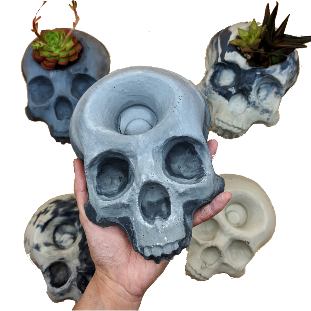 Skull Planter 8"