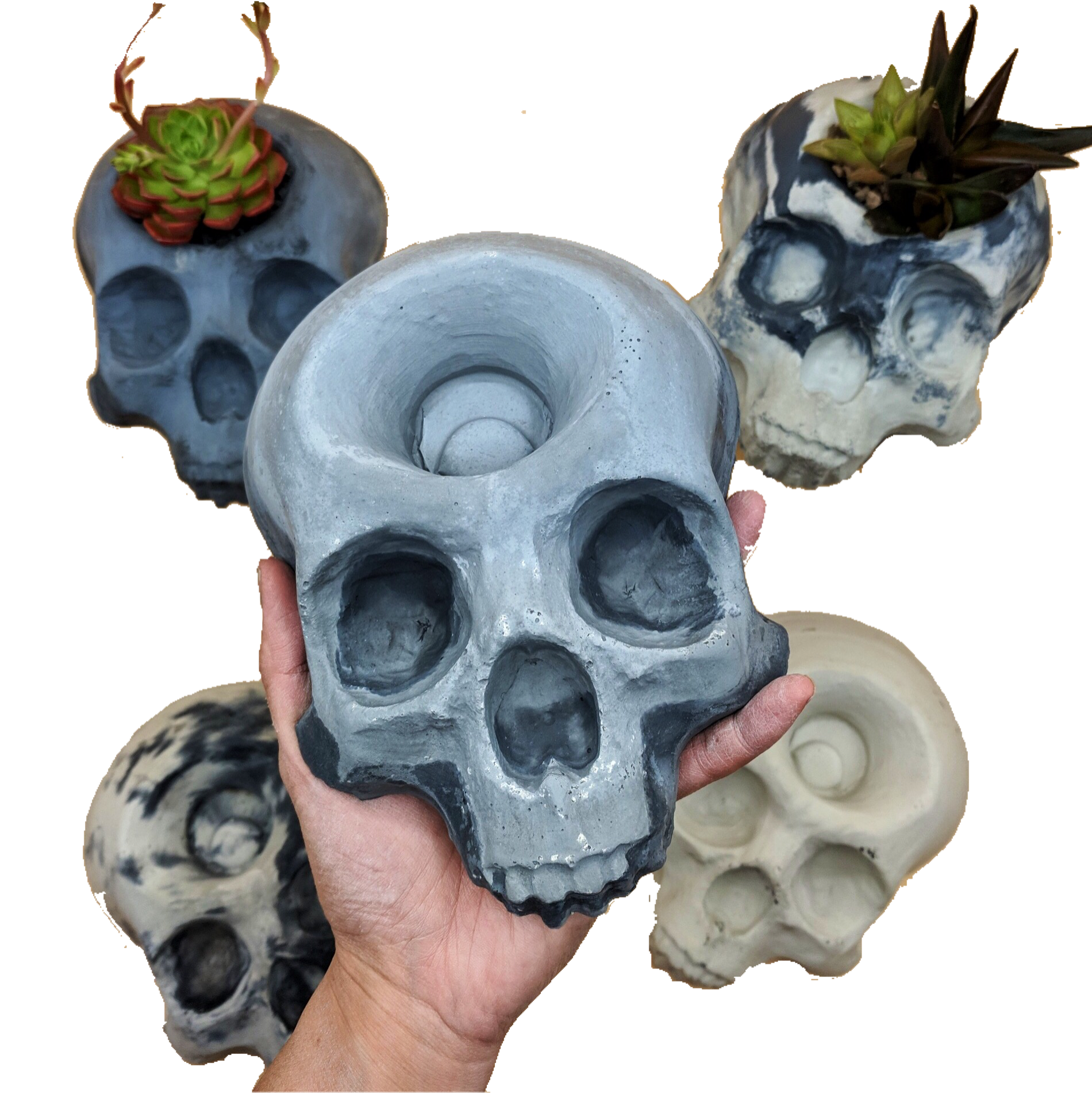 Skull Planter 8"