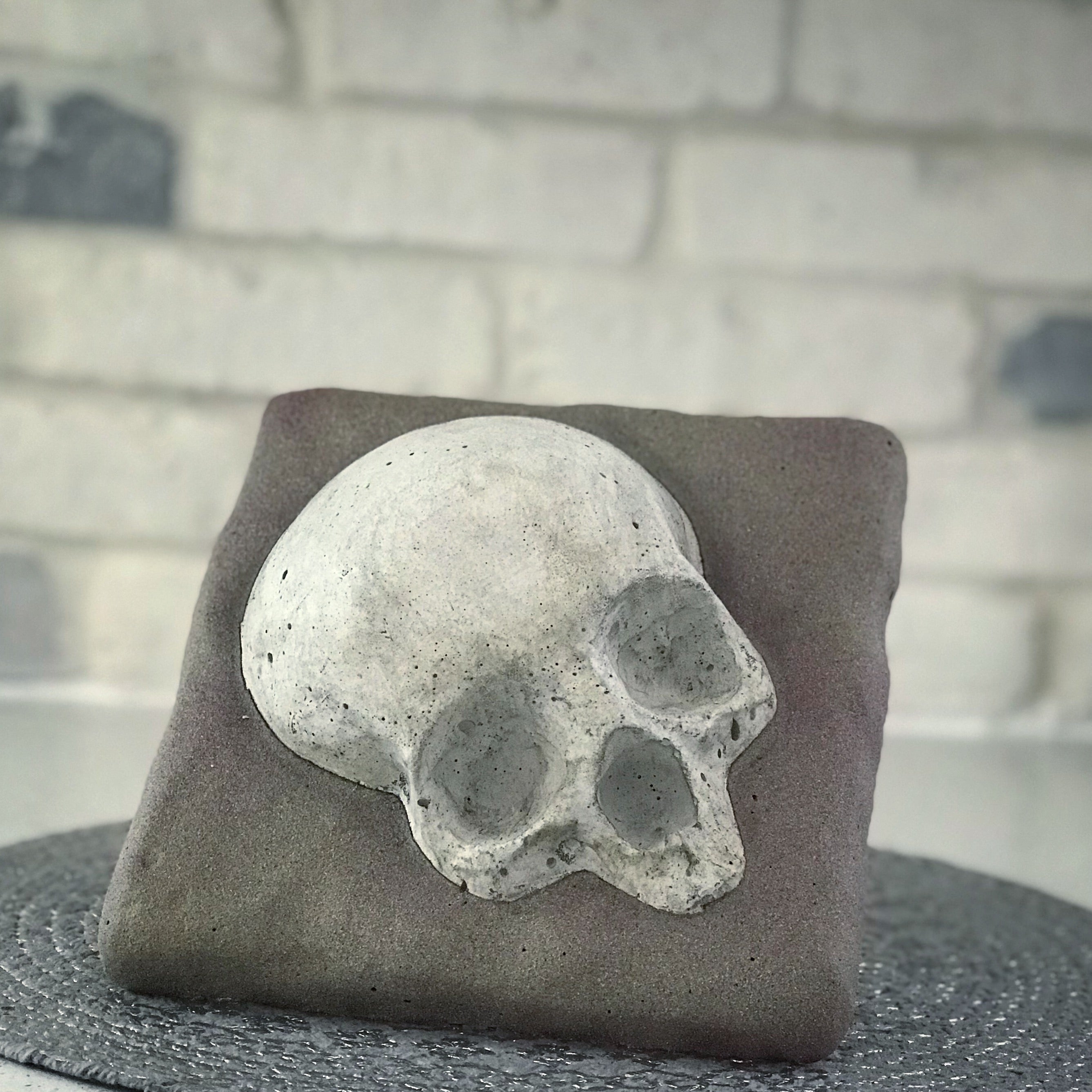 Skull on a rock ABS casting mold by Pacific Mold Design showing 8-inch square mold with skull embedded in stone texture for use as backsplash tile or fireplace accent