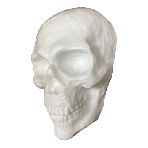 Full face skull ABS casting mold by Pacific Mold Design measuring 6 inches wide by 8.5 inches tall with deep facial relief detail