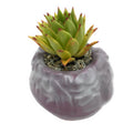 Brain 9" Mold ABS