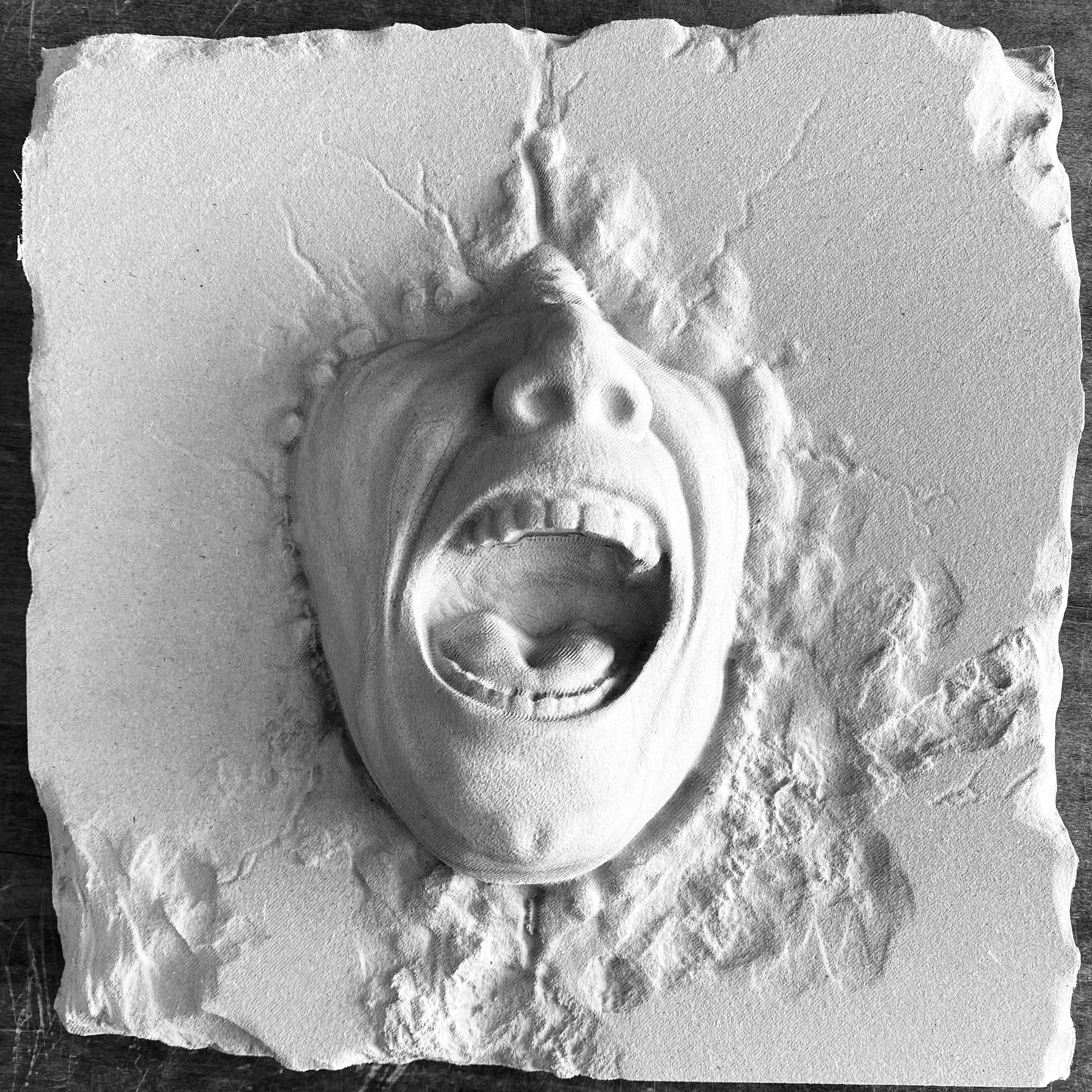 Face through the wall ABS casting mold by Pacific Mold Design showing two-piece mold creating illusion of human face pressing through surface with 2-inch dimensional relief