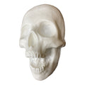 Skull Open Mouth Mold