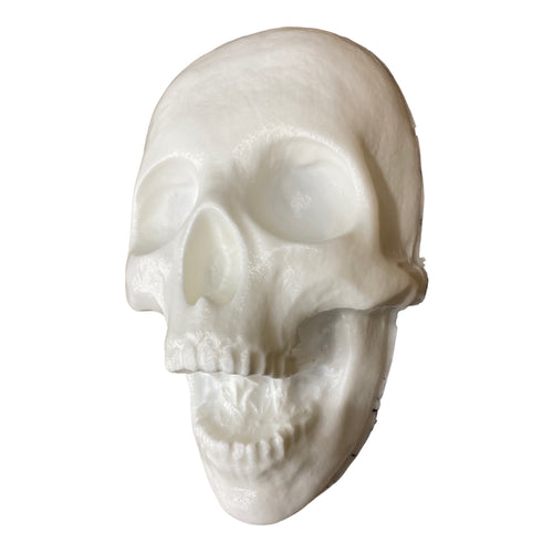 ABS open mouth skull casting mold by Pacific Mold Design showing aggressive open jaw detail, 6 inches wide by 9 inches tall