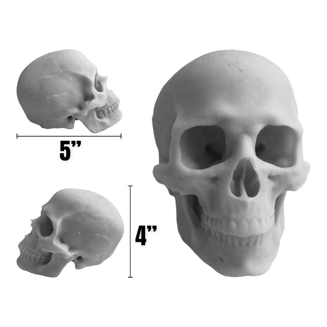 4-inch silicone skull mold by Pacific Mold Design showing flexible mold with deep cranium detail, 4 inches tall by 5 inches long, suitable for resin and candle casting