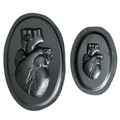 Anatomical heart ABS mold set by Pacific Mold Design showing large and small realistic human heart shaped molds for casting concrete and plaster anatomical heart sculptures and décor