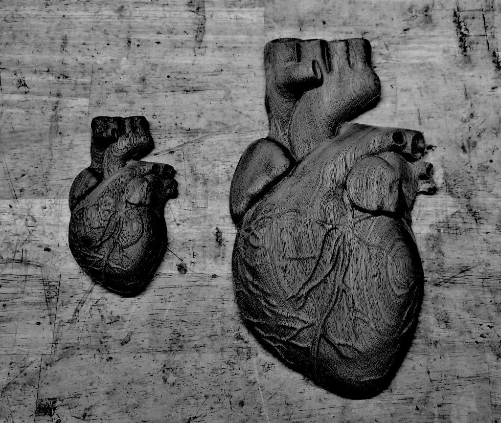 Anatomical heart ABS mold set by Pacific Mold Design showing large and small realistic human heart shaped molds for casting concrete and plaster anatomical heart sculptures and décor